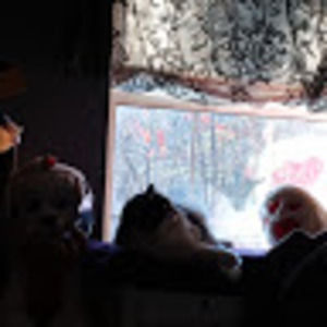 Meet your Posher, Abbie